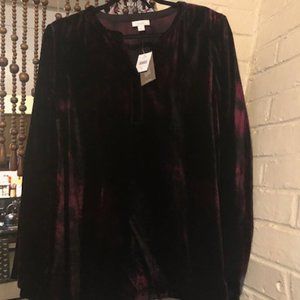 J Jill new rayon nylon velvet tunic top